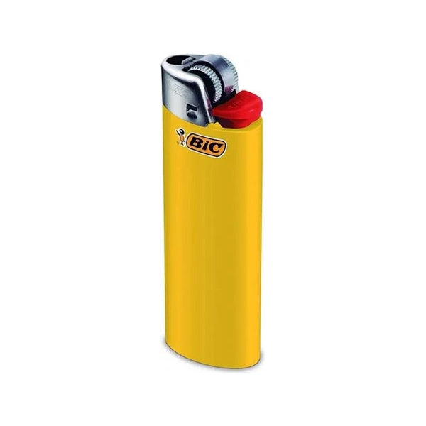 Bic Regular Lighter